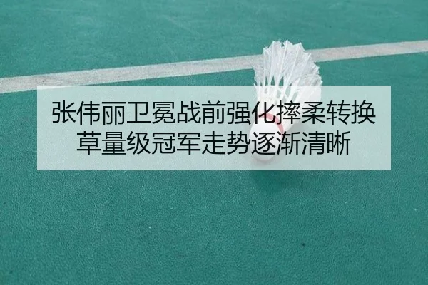 张伟丽卫冕战前强化摔柔转换 草量级冠军走势逐渐清晰